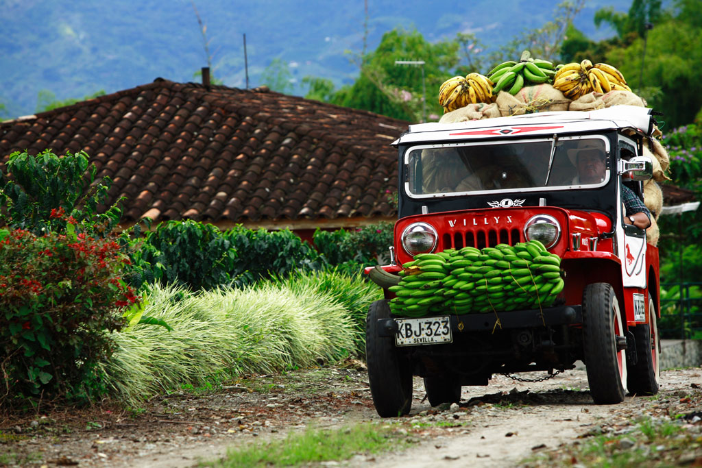Taste the Rich Flavor of Colombia's Coffee Triangle